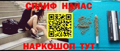 гидра Славгород
