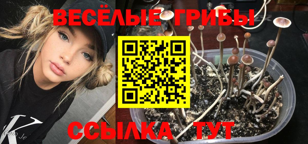 Псилоцибиновые грибы мухоморы  Вход с VPN  Галлюциногенные грибы Psilocybe  Балашиха 